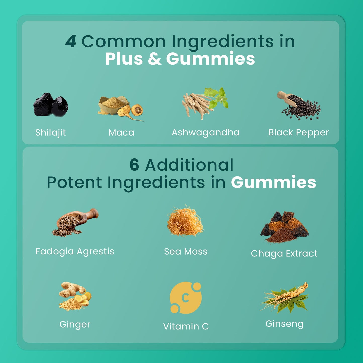 BeepWell Shilajit Resin & Gummies Combo – Fulvic Acid + Ayurvedic Blend – 50g Resin (50 Servings) & 60 Gummies – For Men & Women