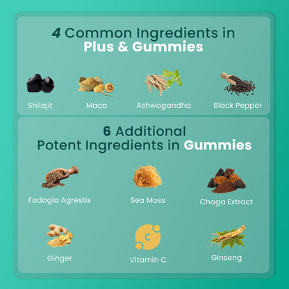 BeepWell Shilajit Resin & Gummies Combo – Fulvic Acid + Ayurvedic Blend – 50g Resin (50 Servings) & 60 Gummies – For Men & Women